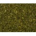 Базилік сушений ТМ Dr. Igel 100г